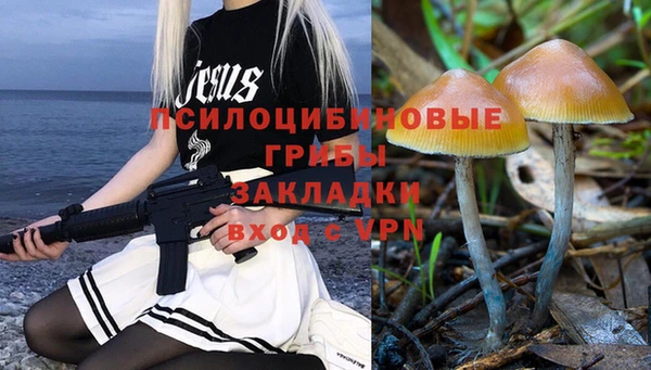 амф Алексин
