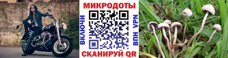 Псилоцибиновые грибы GOLDEN TEACHER Красноармейск