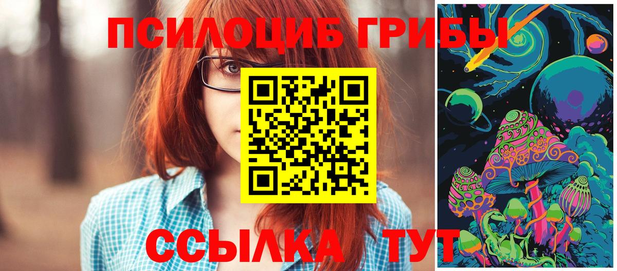 Псилоцибиновые грибы Psilocybine cubensis  Вход с VPN  Красноармейск  Псилоцибиновые грибы MAGIC MUSHROOMS 