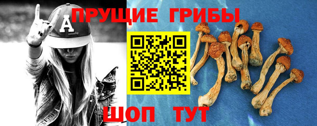 Галлюциногенные грибы мухоморы Красноармейск