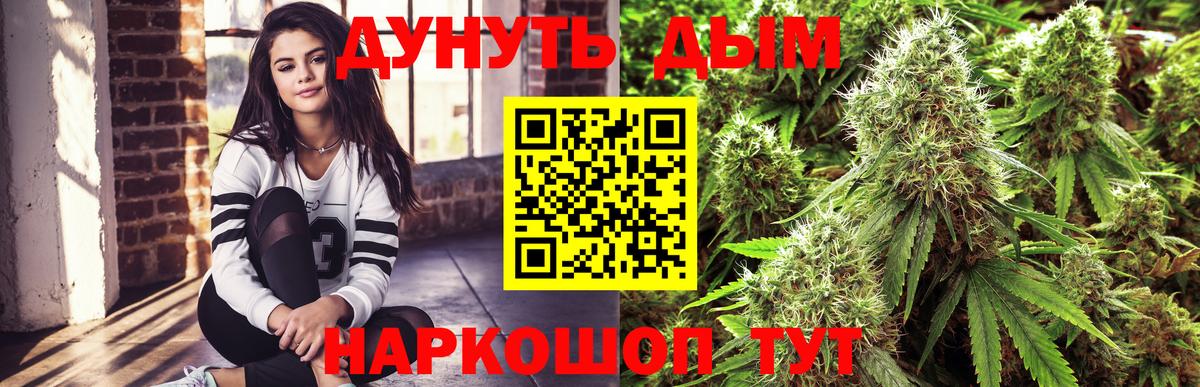 Каннабис White Widow Красноармейск